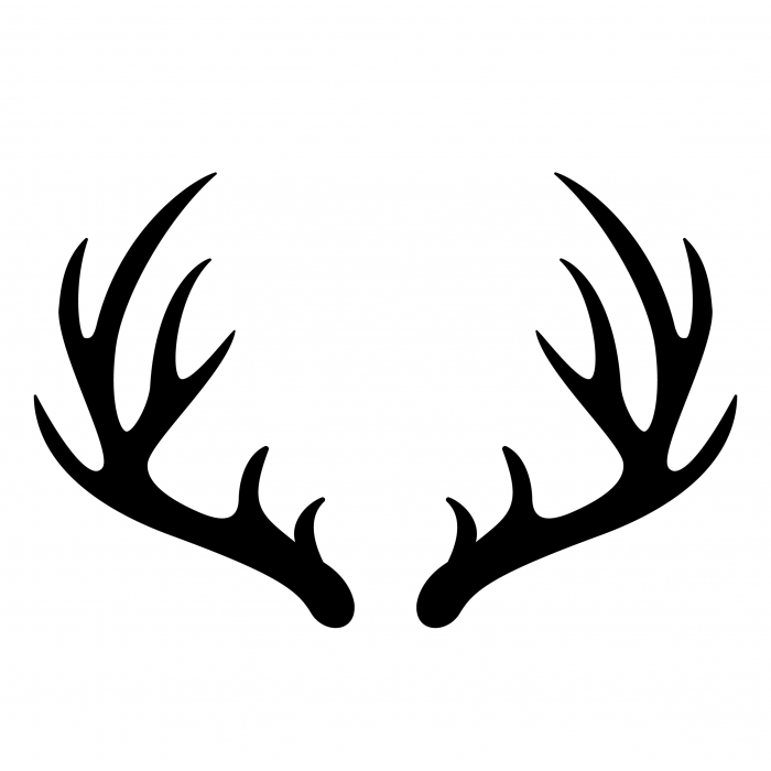 Deer horns clearance