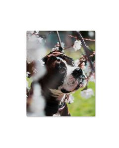 5" x 10" ChromaLuxe Sublimation Aluminum Metal Photo Print Panel - Gloss White