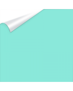 15" Siser EasyWeed Stretch Heat Transfer Vinyl -  x 10 yards - Sweet Mint