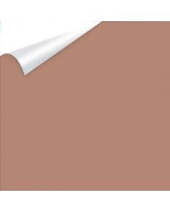 CLEARANCE 15" Siser EasyWeed Heat Transfer Vinyl x 50 yard - Latte