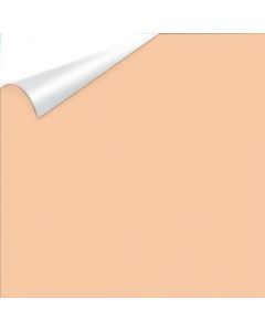 CLEARANCE 15" Siser EasyWeed Heat Transfer Vinyl x 25 yards - Light Apricot