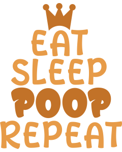 Baby shirt design / Eat Sleep PoopRepeat