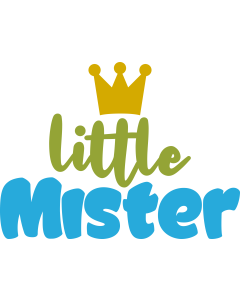 Little mister / Baby shirt design