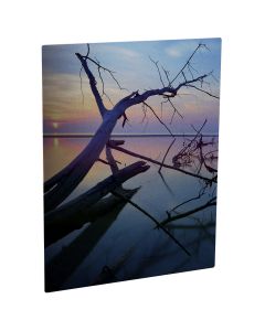 Clear Gloss Panel 20"x 24"