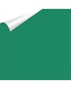 CLEARANCE 12" Siser EasyWeed Heat Transfer Vinyl 1 yard - Cadette Green