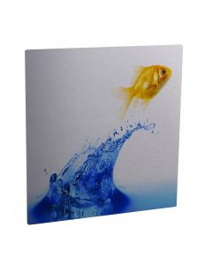 Clear GLoss Panel 12x12