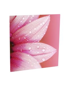 24" x 24" ChromaLuxe Sublimation Aluminum Metal Photo Print Panel