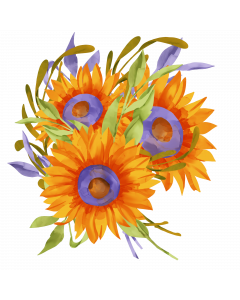 Sunflowers Watercolor Sublimation, Summer PNG