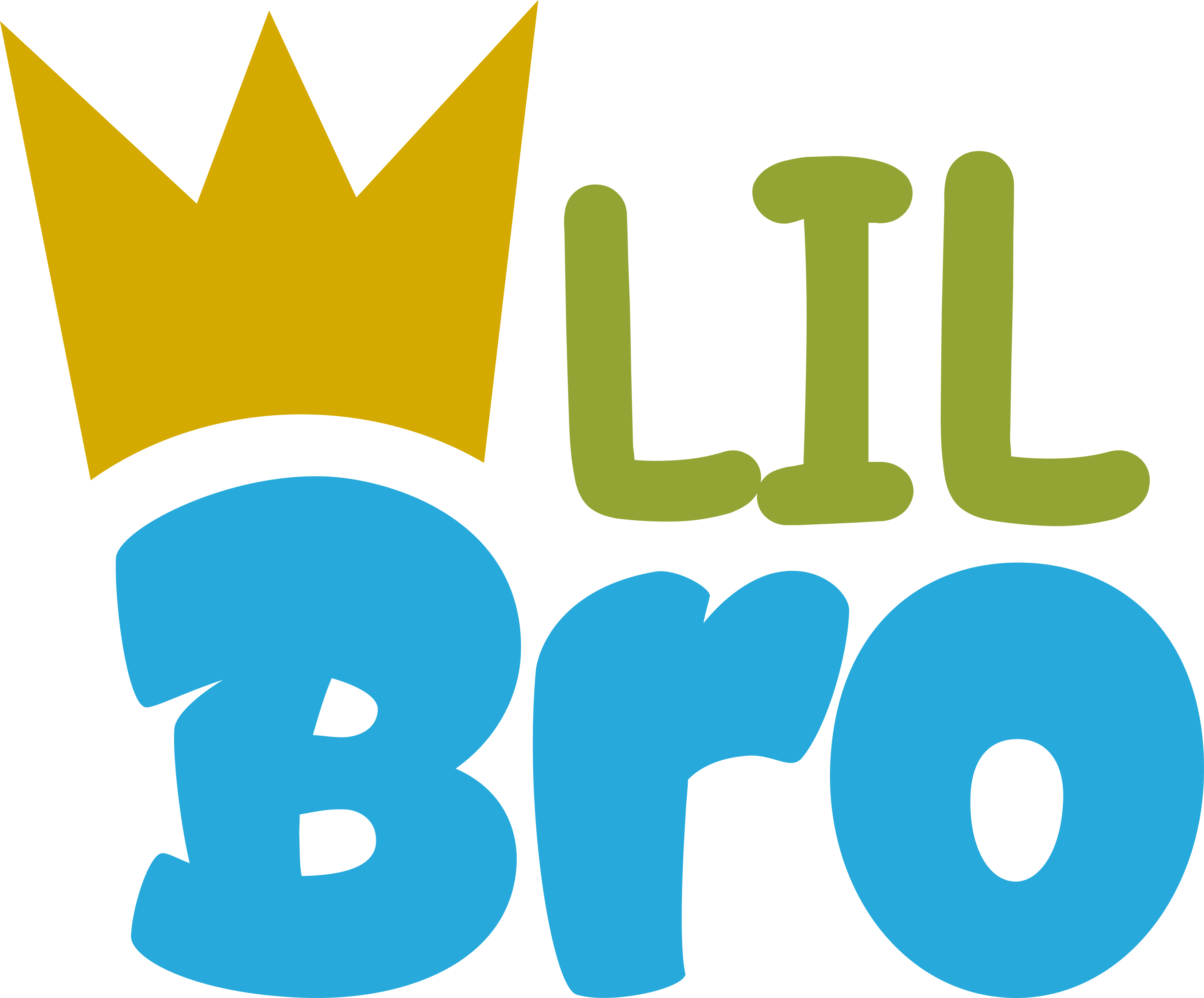 Lil bro / Little brother / Baby shirt design