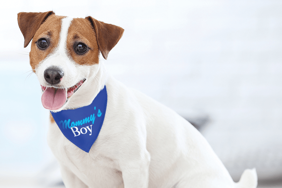 Pet Bandanas for Sublimation