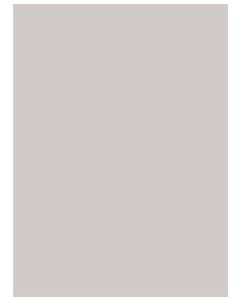 Kan't Kopy Security Paper With Unauthorized Watermark - Gray (500 sheets)